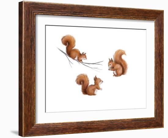 Squirrels-MAKIKO-Framed Giclee Print