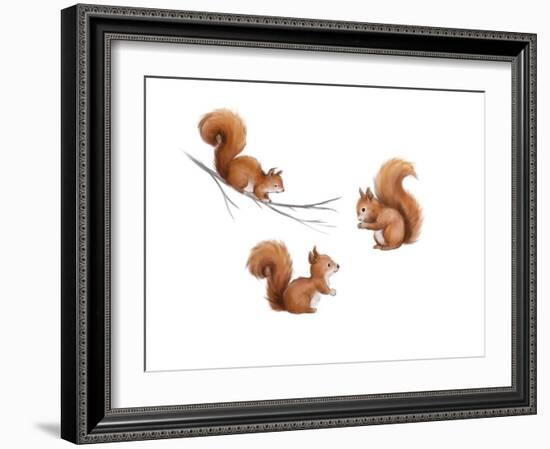 Squirrels-MAKIKO-Framed Giclee Print