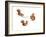 Squirrels-MAKIKO-Framed Giclee Print