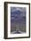 SR 190 Through Death Valley NP, Mojave Desert, California-David Wall-Framed Photographic Print