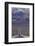 SR 190 Through Death Valley NP, Mojave Desert, California-David Wall-Framed Photographic Print