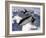 SR-71B Blackbird in Flight-Stocktrek Images-Framed Photographic Print