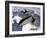 SR-71B Blackbird in Flight-Stocktrek Images-Framed Photographic Print