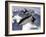 SR-71B Blackbird in Flight-Stocktrek Images-Framed Photographic Print