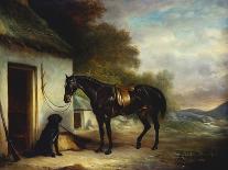 Mr Stuart's Favourite Hunter, Vagabond and His Flatcoated Retriever, Nell by a Cottage Door-John Ferneley, Sr-Mounted Giclee Print