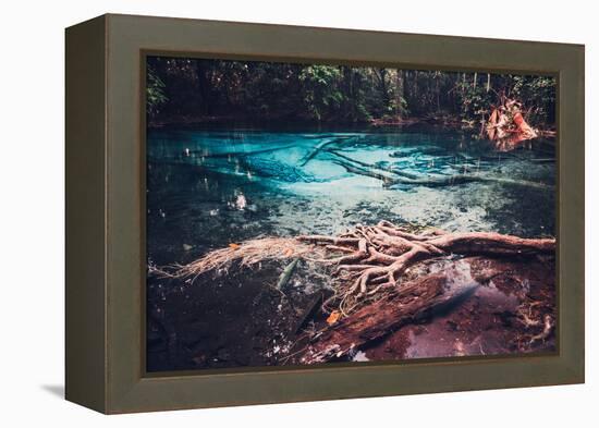 Sra Morakot Blue Pool at Krabi Province, Thailand. Clear Emerald Pond in Tropical Forest. the Roots-goinyk-Framed Premier Image Canvas