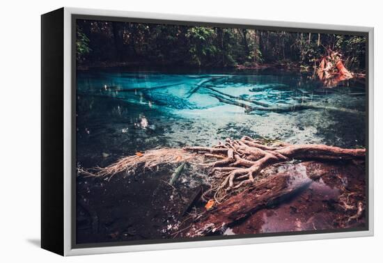 Sra Morakot Blue Pool at Krabi Province, Thailand. Clear Emerald Pond in Tropical Forest. the Roots-goinyk-Framed Premier Image Canvas