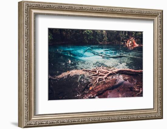 Sra Morakot Blue Pool at Krabi Province, Thailand. Clear Emerald Pond in Tropical Forest. the Roots-goinyk-Framed Photographic Print