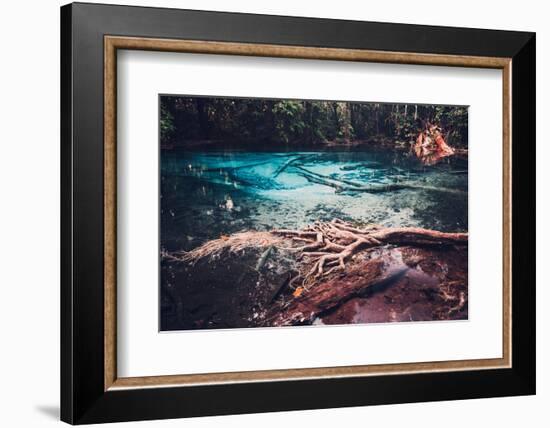 Sra Morakot Blue Pool at Krabi Province, Thailand. Clear Emerald Pond in Tropical Forest. the Roots-goinyk-Framed Photographic Print