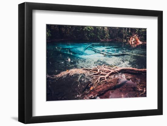 Sra Morakot Blue Pool at Krabi Province, Thailand. Clear Emerald Pond in Tropical Forest. the Roots-goinyk-Framed Photographic Print