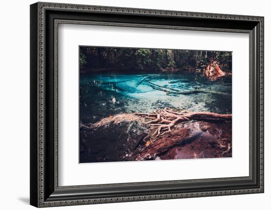 Sra Morakot Blue Pool at Krabi Province, Thailand. Clear Emerald Pond in Tropical Forest. the Roots-goinyk-Framed Photographic Print