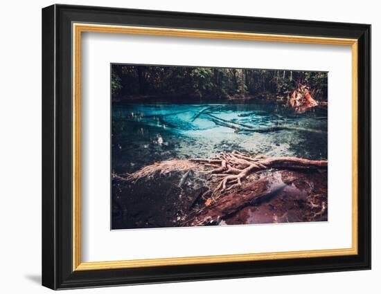 Sra Morakot Blue Pool at Krabi Province, Thailand. Clear Emerald Pond in Tropical Forest. the Roots-goinyk-Framed Photographic Print