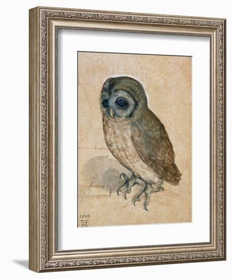 Sreech-Owl, 1508-Albrecht Dürer-Framed Giclee Print