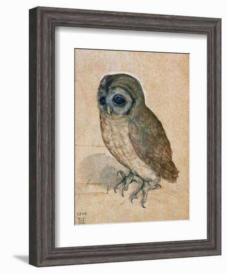 Sreech-Owl, 1508-Albrecht Dürer-Framed Giclee Print