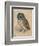 Sreech-Owl, 1508-Albrecht Dürer-Framed Giclee Print