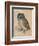 Sreech-Owl, 1508-Albrecht Dürer-Framed Giclee Print