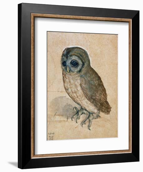 Sreech-Owl, 1508-Albrecht Dürer-Framed Giclee Print