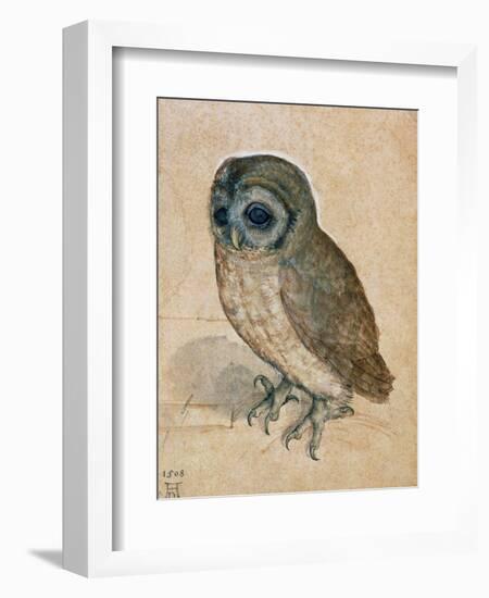 Sreech-Owl, 1508-Albrecht Dürer-Framed Giclee Print