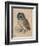 Sreech-Owl, 1508-Albrecht Dürer-Framed Giclee Print