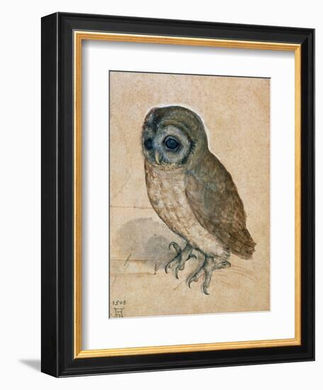 Sreech-Owl, 1508-Albrecht Dürer-Framed Giclee Print