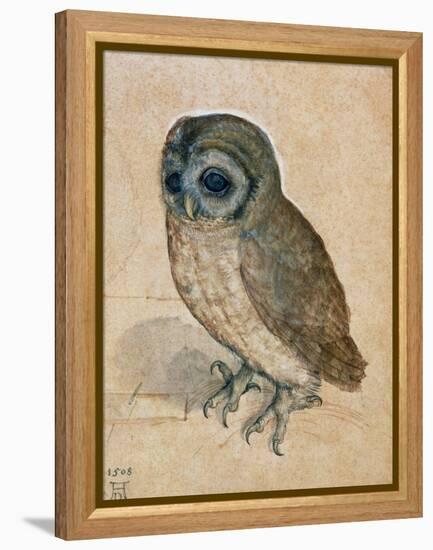 Sreech-Owl, 1508-Albrecht Dürer-Framed Premier Image Canvas