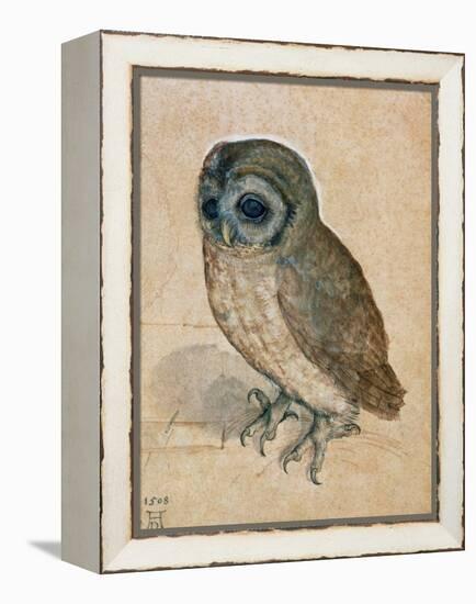 Sreech-Owl, 1508-Albrecht Dürer-Framed Premier Image Canvas