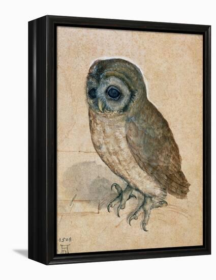 Sreech-Owl, 1508-Albrecht Dürer-Framed Premier Image Canvas