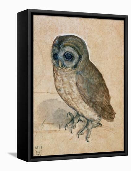 Sreech-Owl, 1508-Albrecht Dürer-Framed Premier Image Canvas
