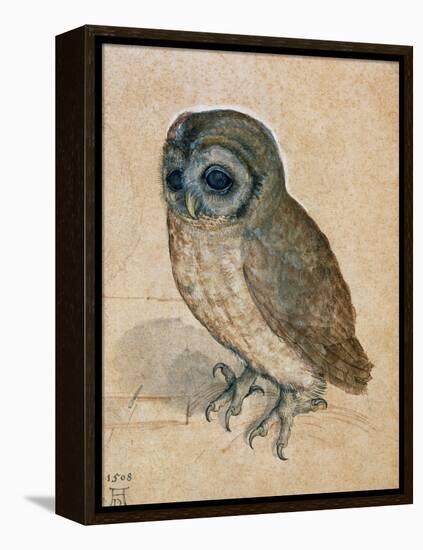 Sreech-Owl, 1508-Albrecht Dürer-Framed Premier Image Canvas