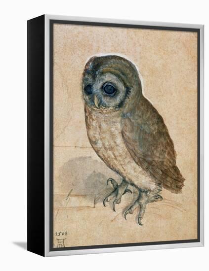 Sreech-Owl, 1508-Albrecht Dürer-Framed Premier Image Canvas