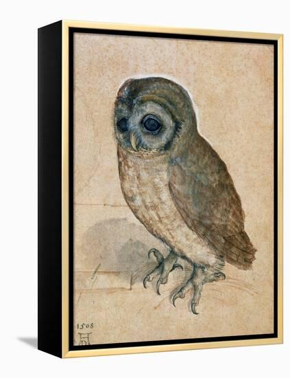 Sreech-Owl, 1508-Albrecht Dürer-Framed Premier Image Canvas