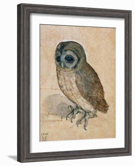 Sreech-Owl, 1508-Albrecht Dürer-Framed Giclee Print