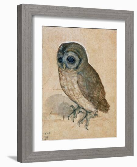 Sreech-Owl, 1508-Albrecht Dürer-Framed Giclee Print