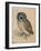 Sreech-Owl, 1508-Albrecht Dürer-Framed Giclee Print