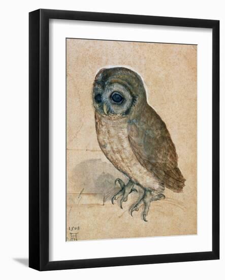 Sreech-Owl, 1508-Albrecht Dürer-Framed Giclee Print