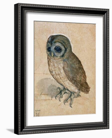 Sreech-Owl, 1508-Albrecht Dürer-Framed Giclee Print