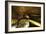 Sri Lanka, Dambulla, Dambulla Cave Temple, Face of Sleeping Buddha-Anthony Asael-Framed Photographic Print