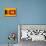 Sri Lanka Flag Design with Wood Patterning - Flags of the World Series-Philippe Hugonnard-Mounted Art Print displayed on a wall