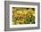 Sri-Lanka, Kandy, Peradeniya Botanical Gardens-Anthony Asael-Framed Photographic Print