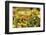 Sri-Lanka, Kandy, Peradeniya Botanical Gardens-Anthony Asael-Framed Photographic Print