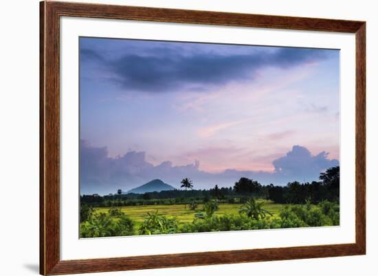 Sri Lanka Landscape at Sunrise, Paddy Fields Near Dambulla, Central Province, Sri Lanka, Asia-Matthew Williams-Ellis-Framed Photographic Print