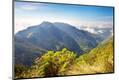 Premium Photographic Print
