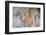 Sri Lanka, Sigiriya. Fresco of 'The Maidens of the Clouds'.-Cindy Miller Hopkins-Framed Photographic Print