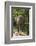 Sri Lanka, Tissamaharama, Ruhuna National Park. Sri Lankan elephant.-Cindy Miller Hopkins-Framed Photographic Print