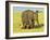 Sri Lankan Elephant (Elephas Maximus Maximus), Minneriya National Park, Sri Lanka, Asia-Jochen Schlenker-Framed Photographic Print