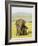 Sri Lankan Elephant (Elephas Maximus Maximus), Minneriya National Park, Sri Lanka, Asia-Jochen Schlenker-Framed Photographic Print