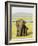 Sri Lankan Elephant (Elephas Maximus Maximus), Minneriya National Park, Sri Lanka, Asia-Jochen Schlenker-Framed Photographic Print