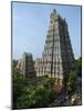 Sri Meenakshi Sundareshwara Temple, Madurai, Tamil Nadu, India, Asia-Stuart Black-Mounted Photographic Print