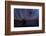 ss-specke-1-Lincoln Harrison-Framed Photo