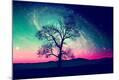 Photographic Print